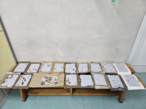 warsztaty z czerpania papieru (4) zs16
