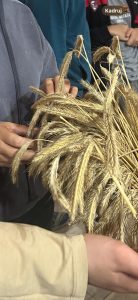 poznaj dolny śląsk (1) z s16