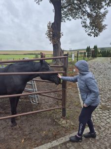 poznaj dolny śląsk (13) zs 16