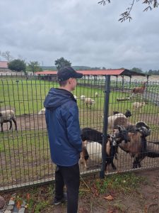 poznaj dolny śląsk (14) zs 16