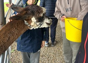 poznaj dolny śląsk (2) zs 16