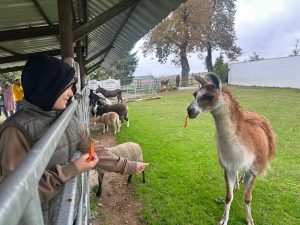 poznaj dolny śląsk (3) zs 16