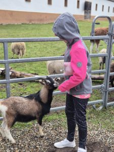 poznaj dolny śląsk (7) zs 16